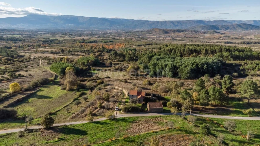 Quinta T0 para Venda em Caria