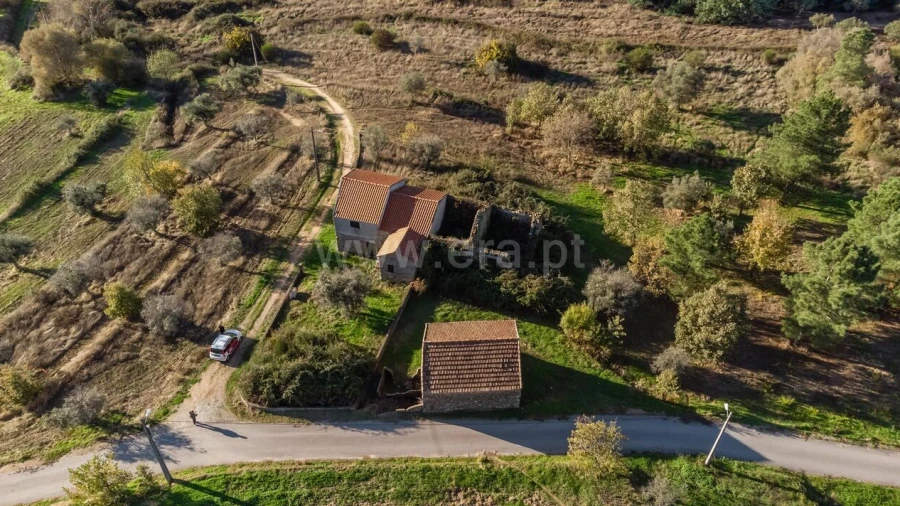 Quinta T0 para Venda em Caria