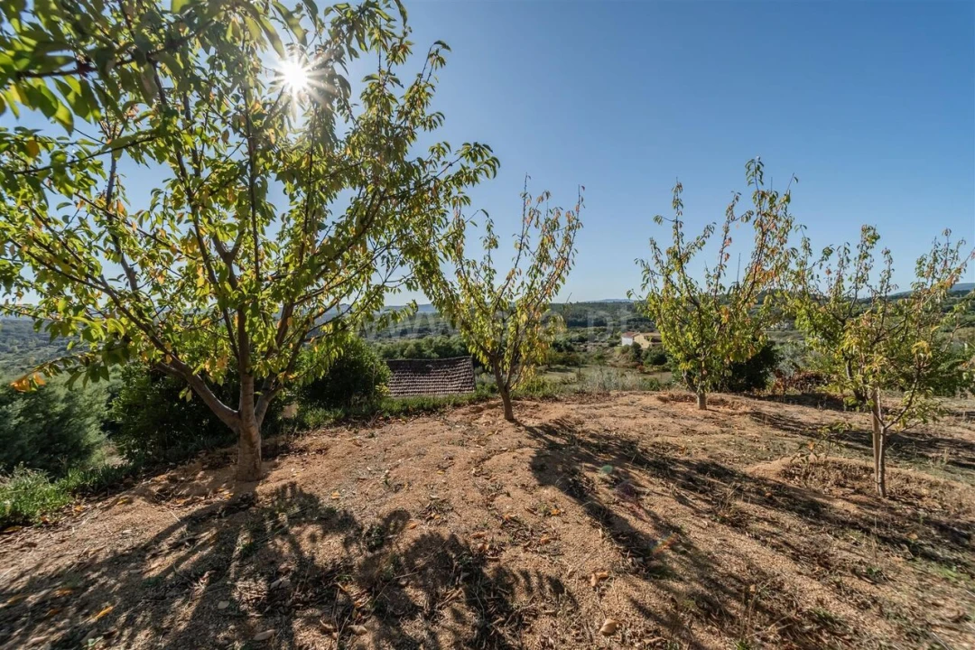 Quinta T2 para Venda em Orjais Foto 6