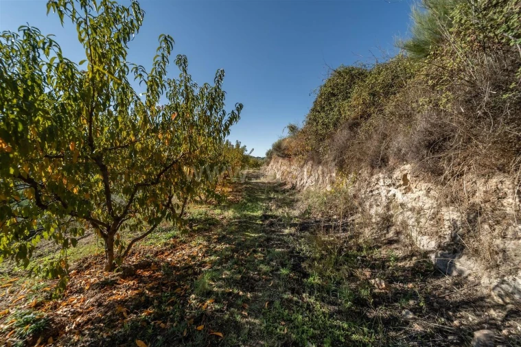 Quinta T2 para Venda em Orjais Foto 8