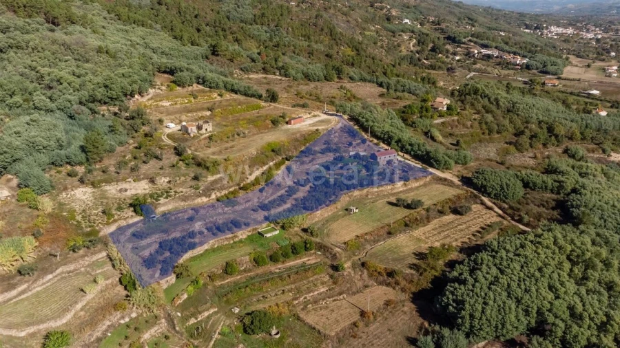 Quinta T2 para Venda em Orjais Foto 2