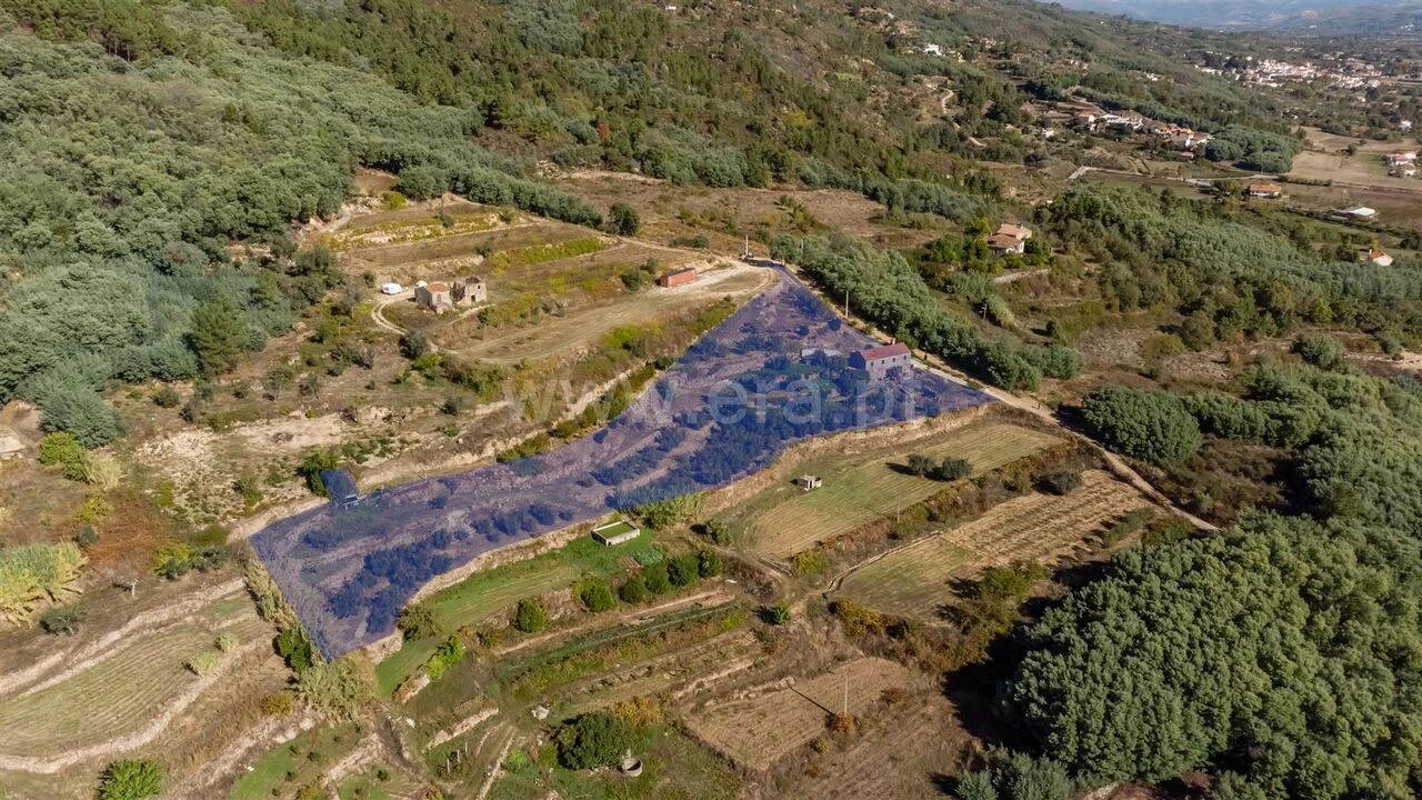 Quinta T2 para Venda em Orjais Foto 2