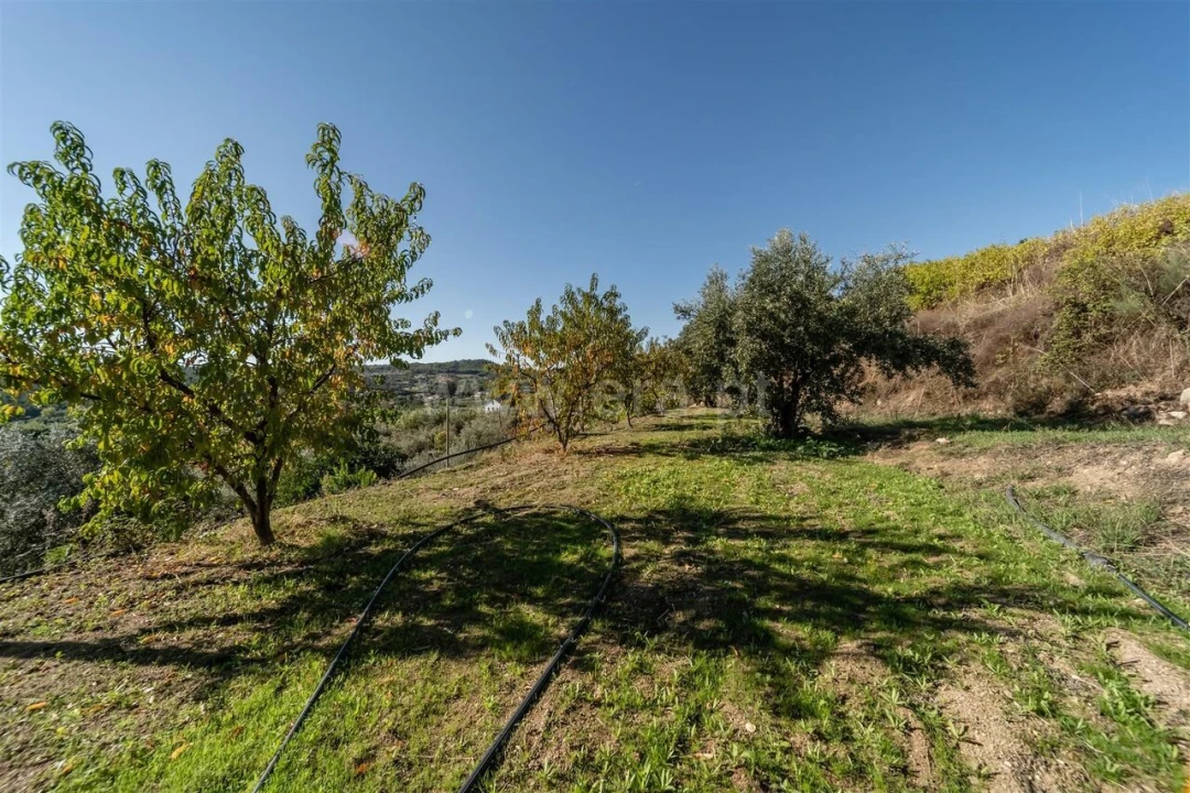 Quinta T2 para Venda em Orjais Foto 7