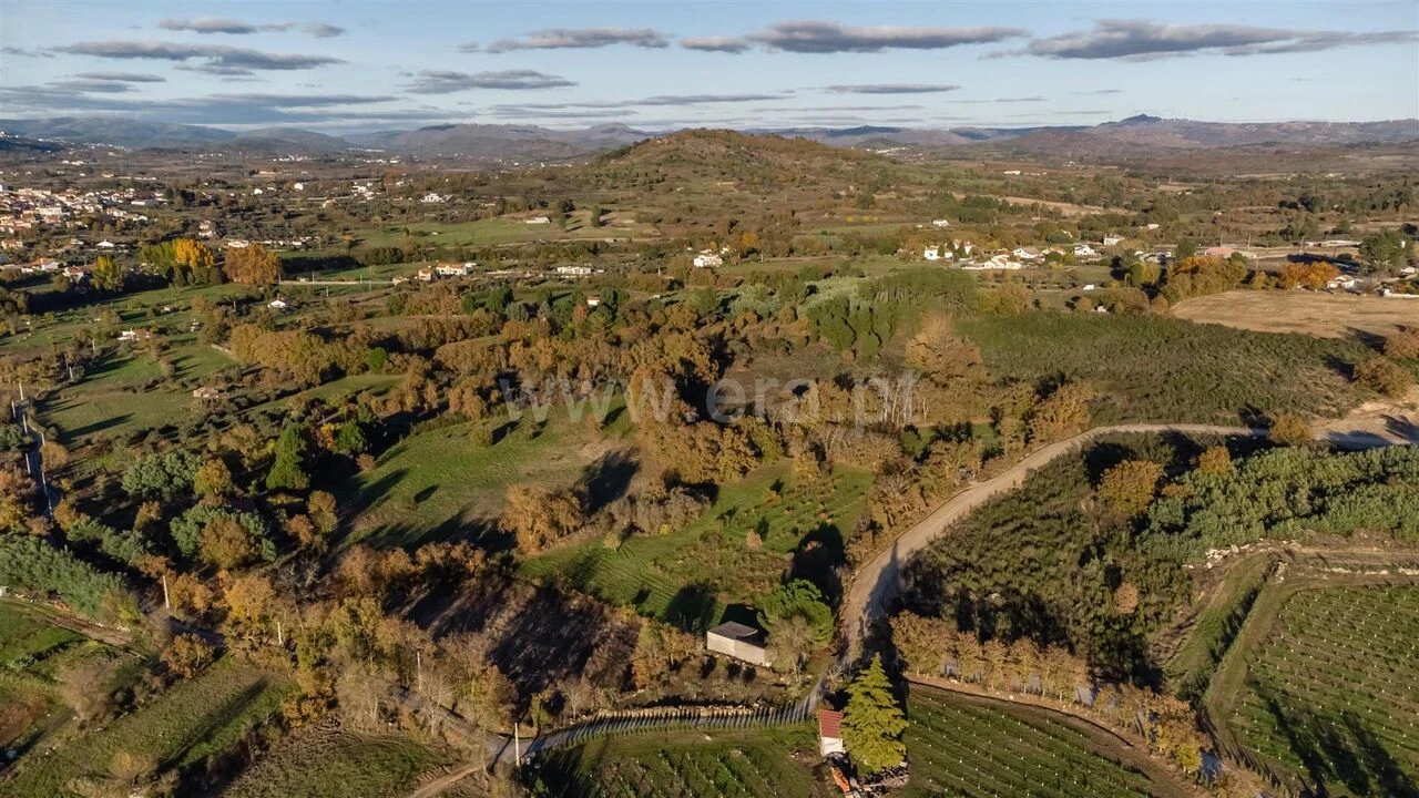 Terreno para Venda em Caria Foto 2