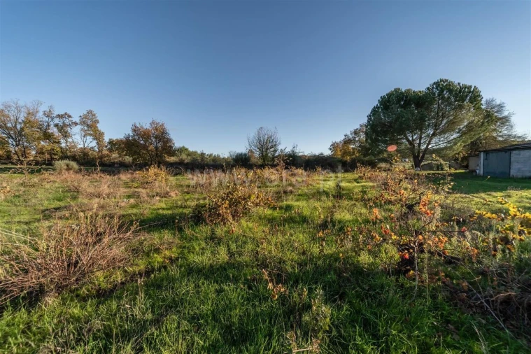 Terreno para Venda em Caria Foto 18