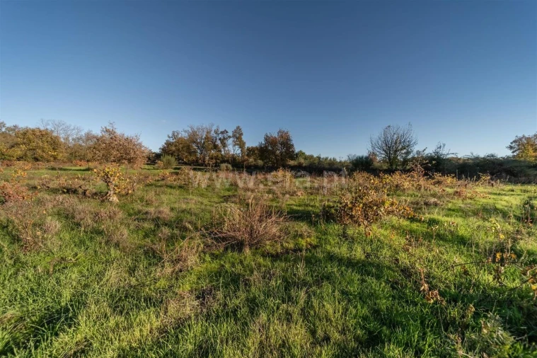 Terreno para Venda em Caria Foto 16