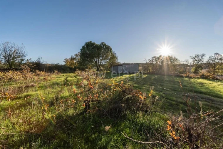Terreno para Venda em Caria Foto 17