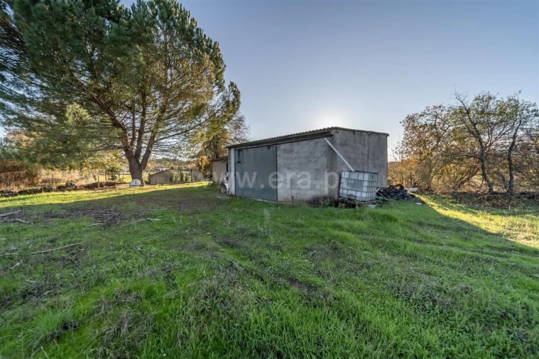 Terreno para Venda em Caria Foto 14