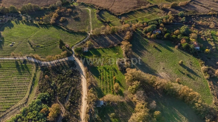 Terreno para Venda em Caria Foto 6