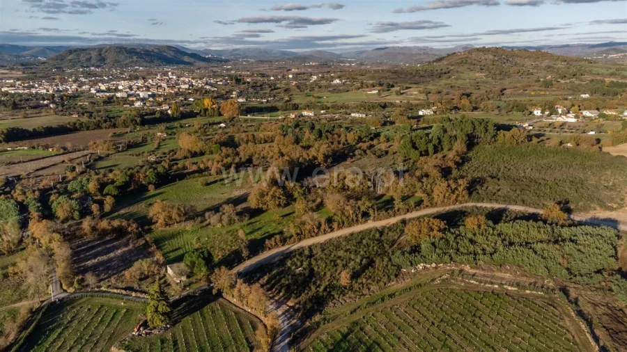 Terreno para Venda em Caria Foto 3