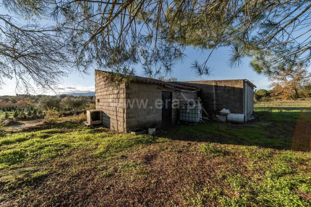 Terreno para Venda em Caria Foto 13