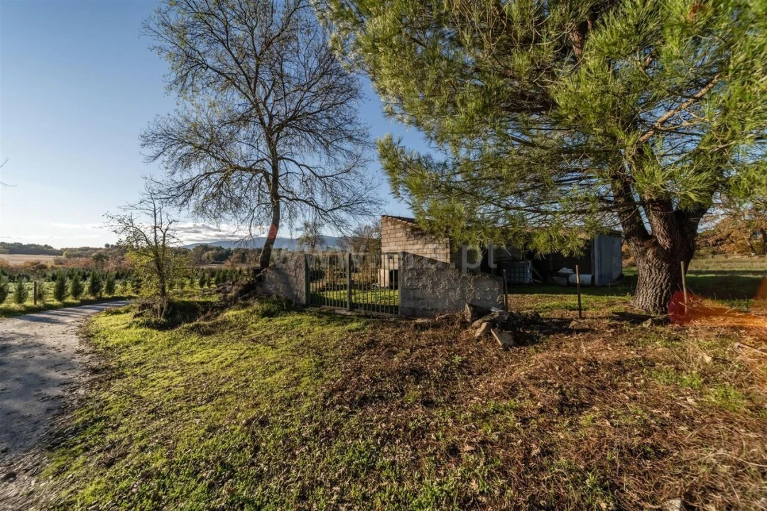 Terreno para Venda em Caria Foto 12