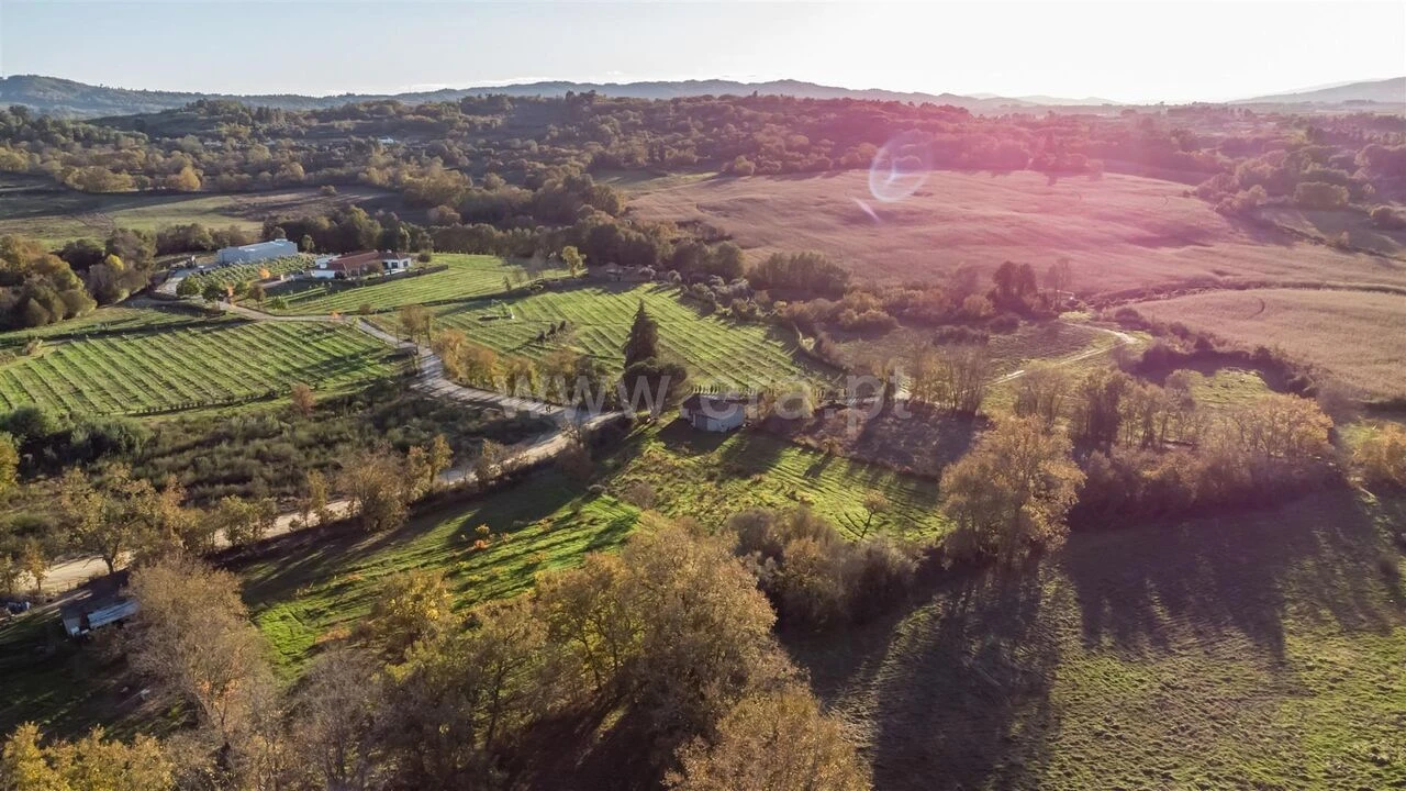 Terreno para Venda em Caria Foto 10