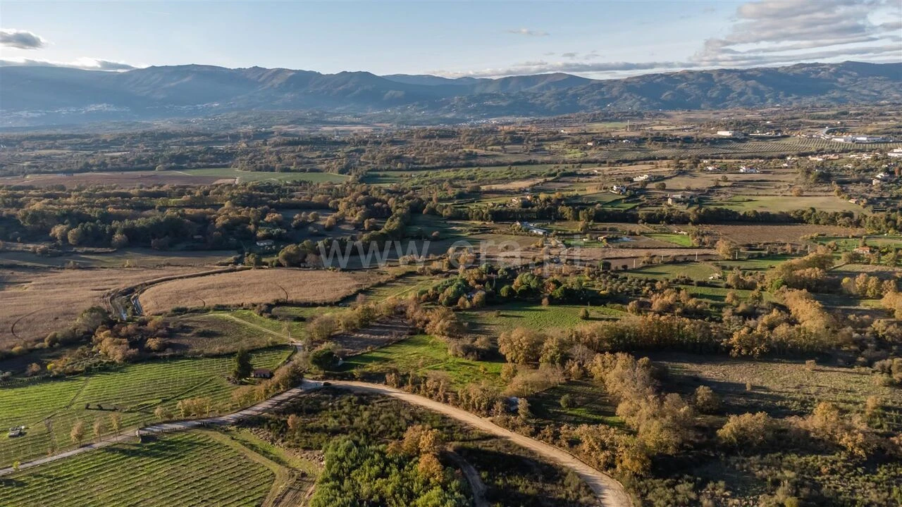Terreno para Venda em Caria Foto 5
