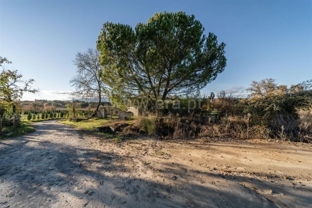 Terreno para Venda em Caria Foto 11