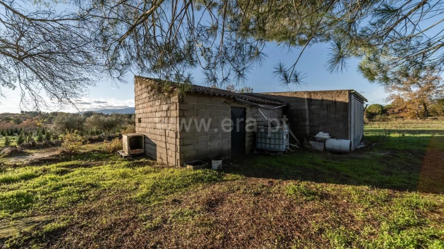 Terreno para Venda em Caria