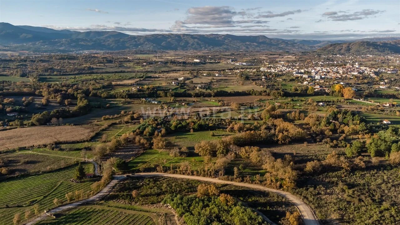 Terreno para Venda em Caria Foto 4