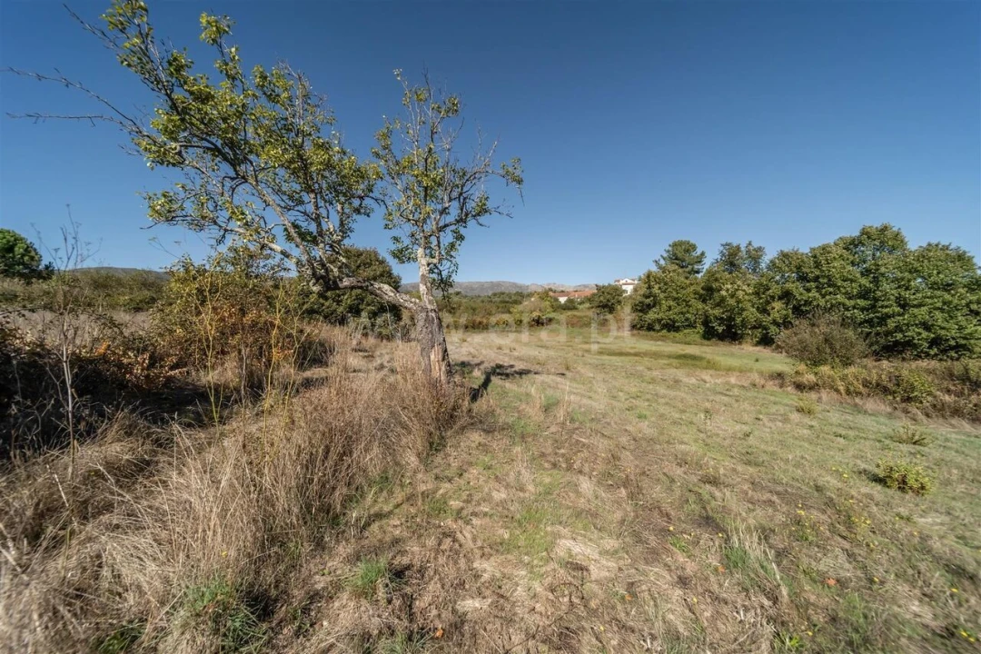 Quinta T6 para Venda em Boidobra Foto 17