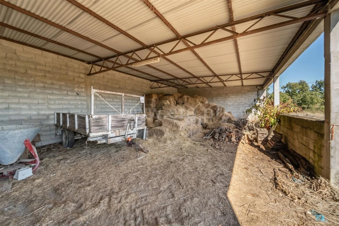 Quinta T6 para Venda em Boidobra Foto 15