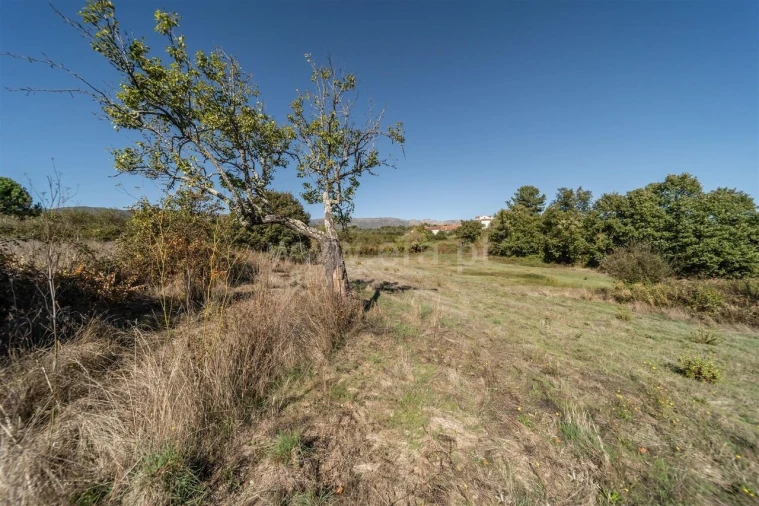 Quinta T6 para Venda em Boidobra Foto 17