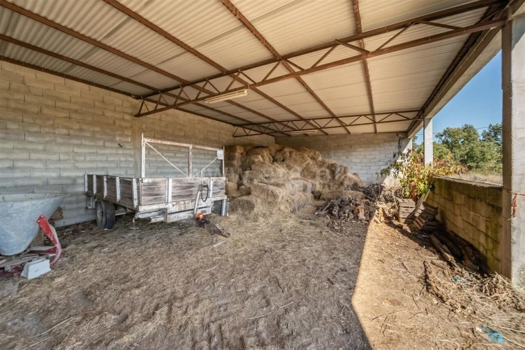 Quinta T6 para Venda em Boidobra Foto 15