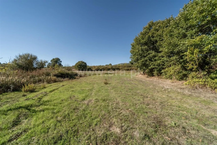 Quinta T6 para Venda em Boidobra Foto 19