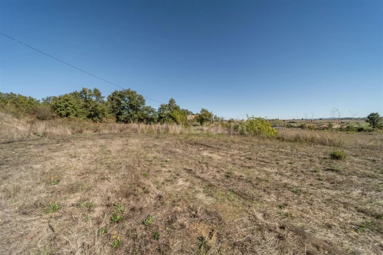 Quinta T6 para Venda em Boidobra Foto 12