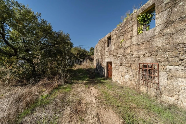 Quinta T6 para Venda em Boidobra Foto 6