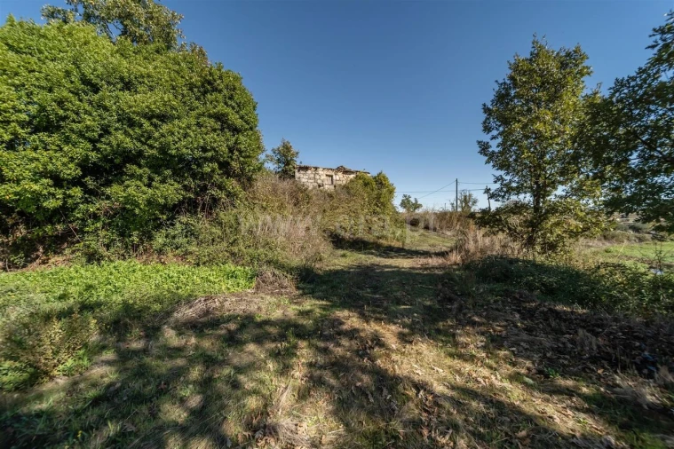 Quinta T6 para Venda em Boidobra Foto 9