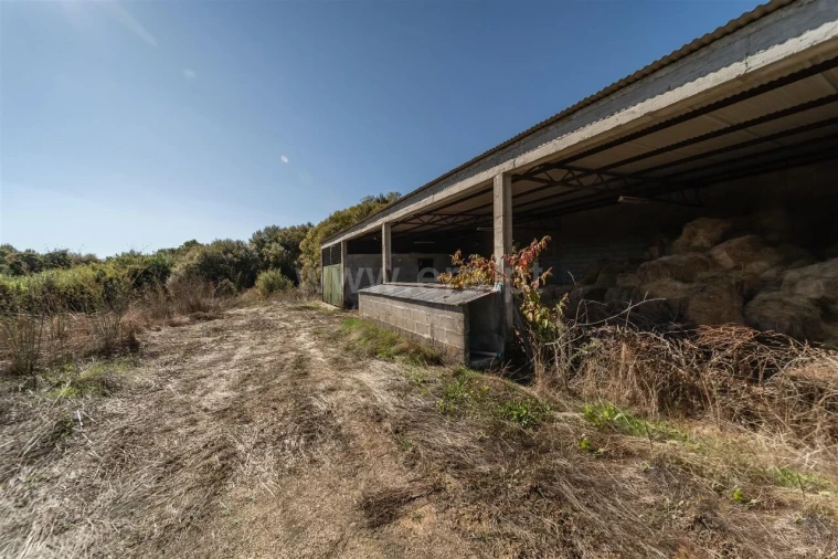 Quinta T6 para Venda em Boidobra Foto 13