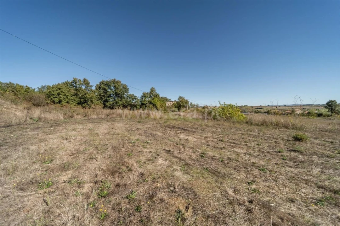 Quinta T6 para Venda em Boidobra Foto 12