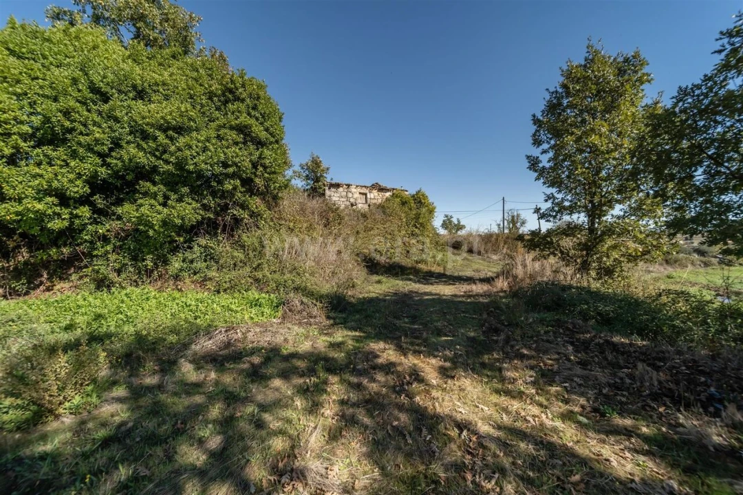 Quinta T6 para Venda em Boidobra Foto 9