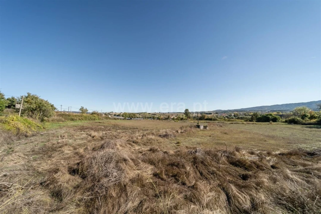 Quinta T6 para Venda em Boidobra Foto 11