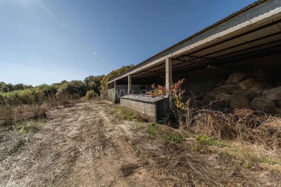 Quinta T6 para Venda em Boidobra Foto 13