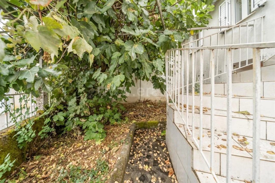 Moradia T3 para Venda em Erada Foto 18