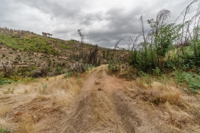 Terreno para Venda em Sobral de São Miguel