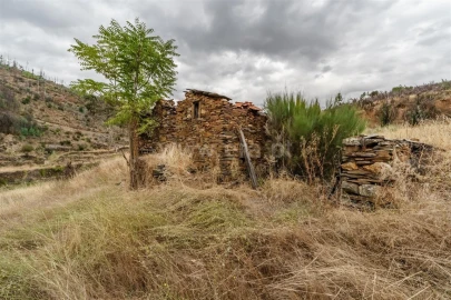 Terreno para Venda em Sobral de São Miguel