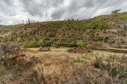 Terreno para Venda em Sobral de São Miguel