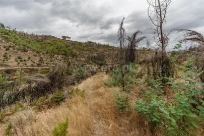 Terreno para Venda em Sobral de São Miguel