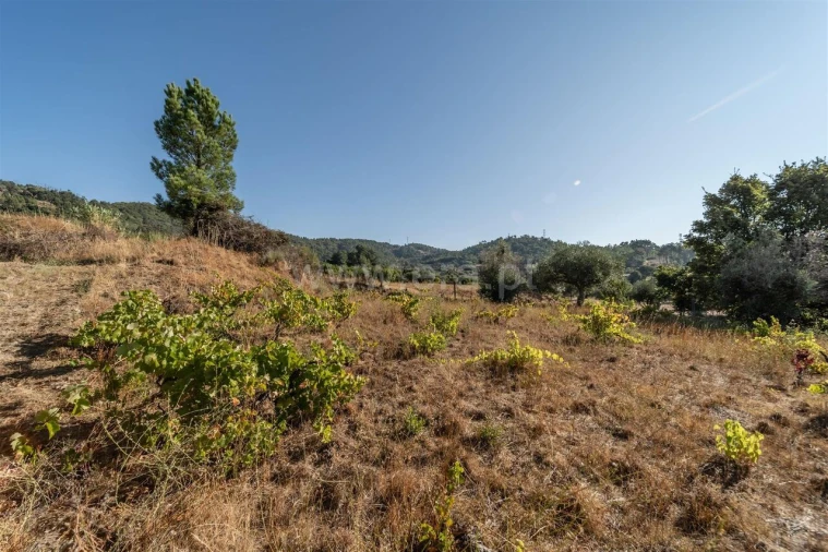 Terreno para Venda em Pero Viseu Foto 8