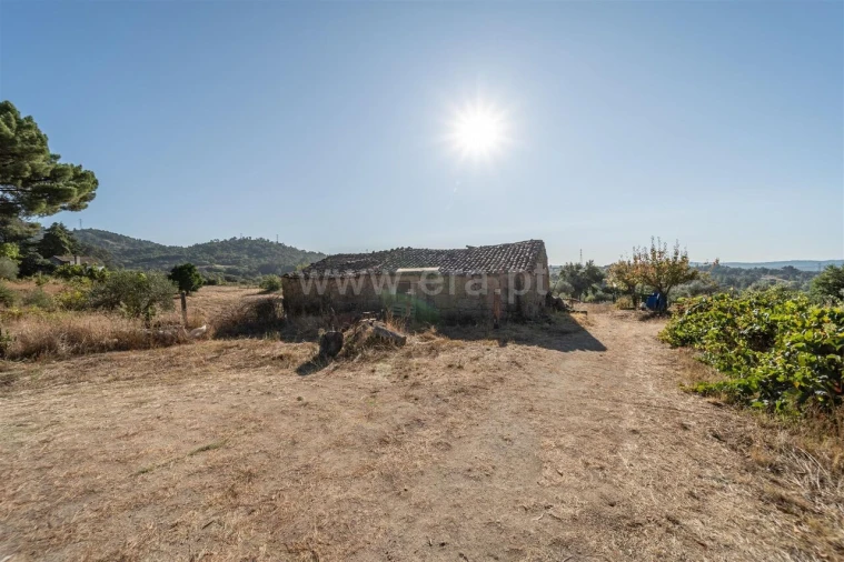 Terreno para Venda em Pero Viseu Foto 2