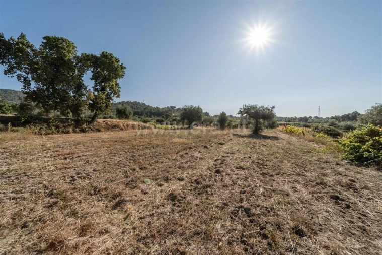 Terreno para Venda em Pero Viseu Foto 19