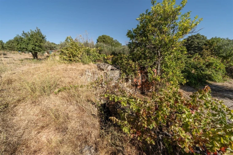 Terreno para Venda em Pero Viseu Foto 13