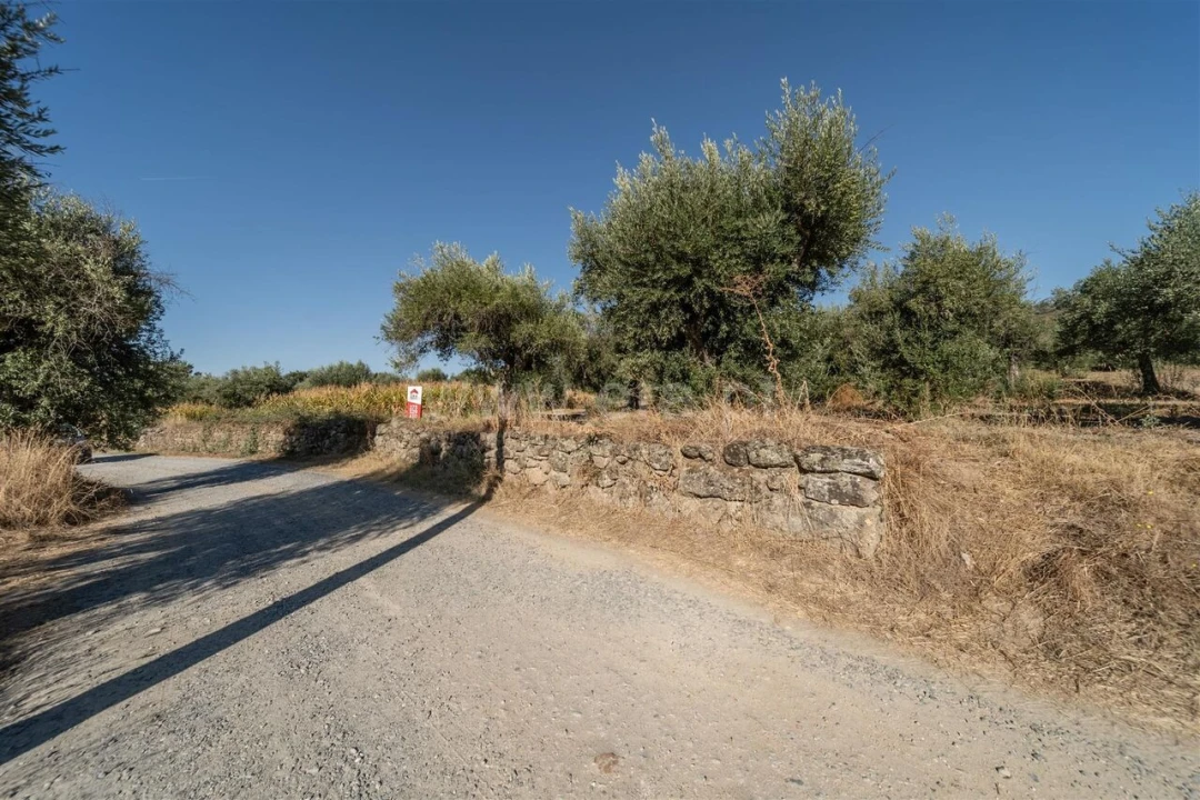 Terreno para Venda em Pero Viseu Foto 15