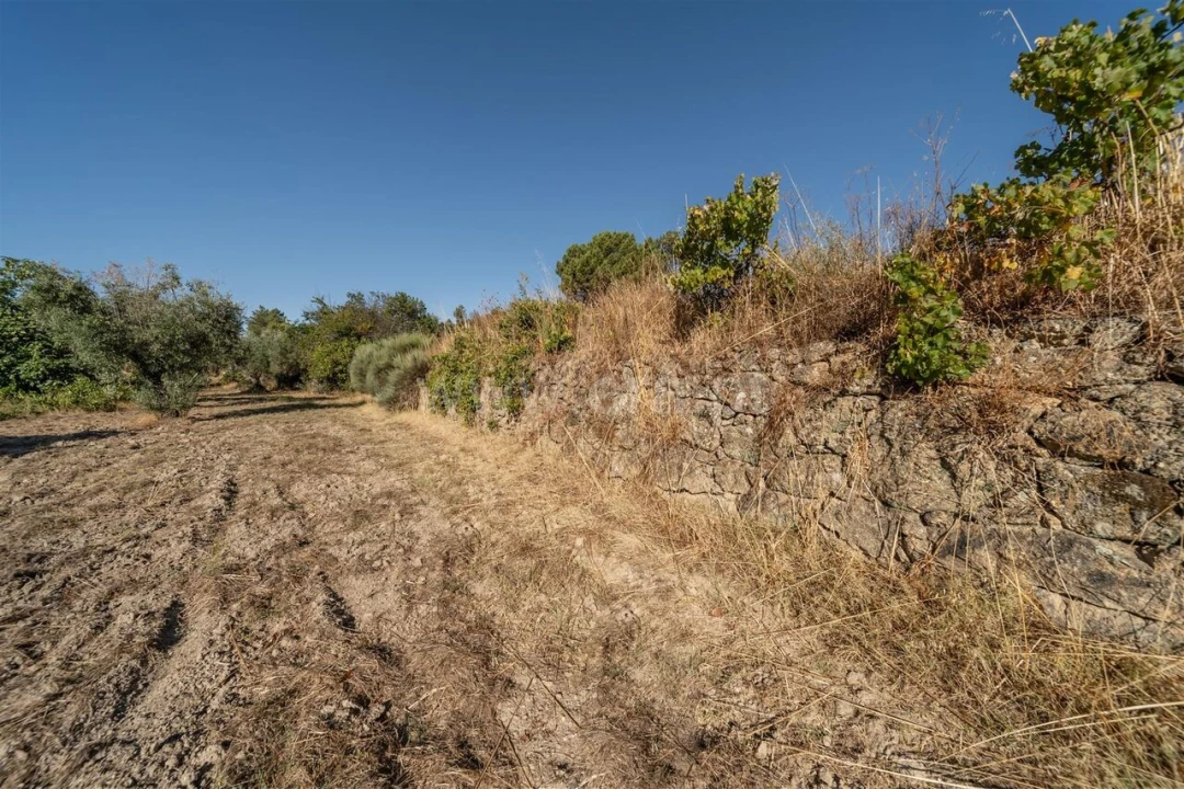 Terreno para Venda em Pero Viseu Foto 7