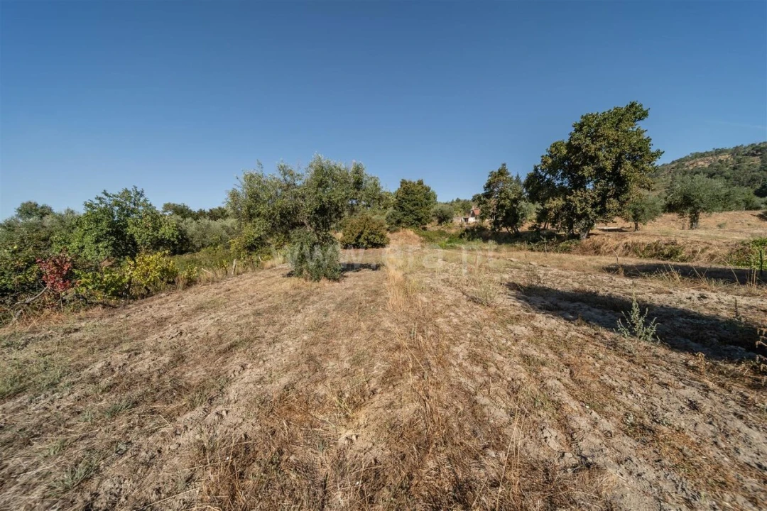 Terreno para Venda em Pero Viseu Foto 18