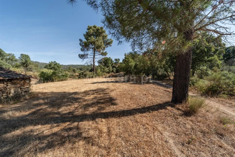 Terreno para Venda em Pero Viseu Foto 5