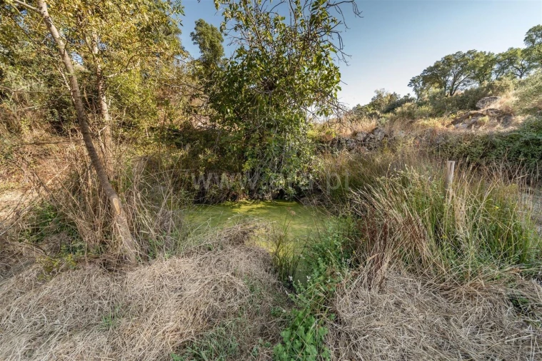 Terreno para Venda em Pero Viseu Foto 3