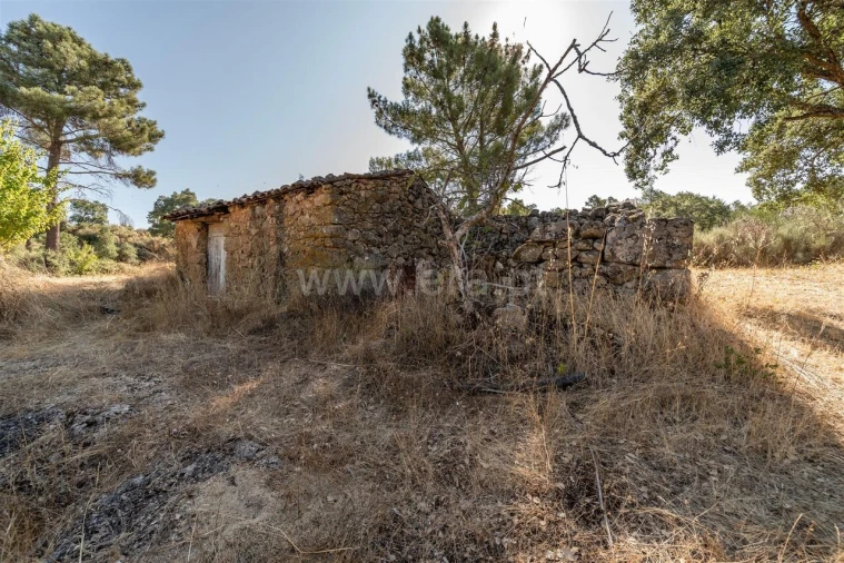 Terreno para Venda em Pero Viseu Foto 9