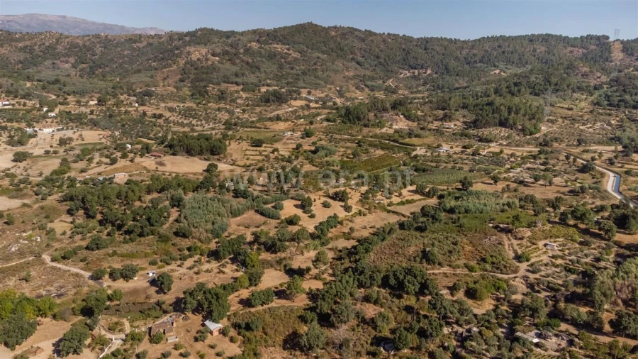 Terreno para Venda em Pero Viseu Foto 14